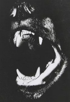 YOURTURN UNISEX - T-shirt Con Stampa - White -Sconto YOURTURN in Italia 58bb31f561364d32afd21d152180aa2a